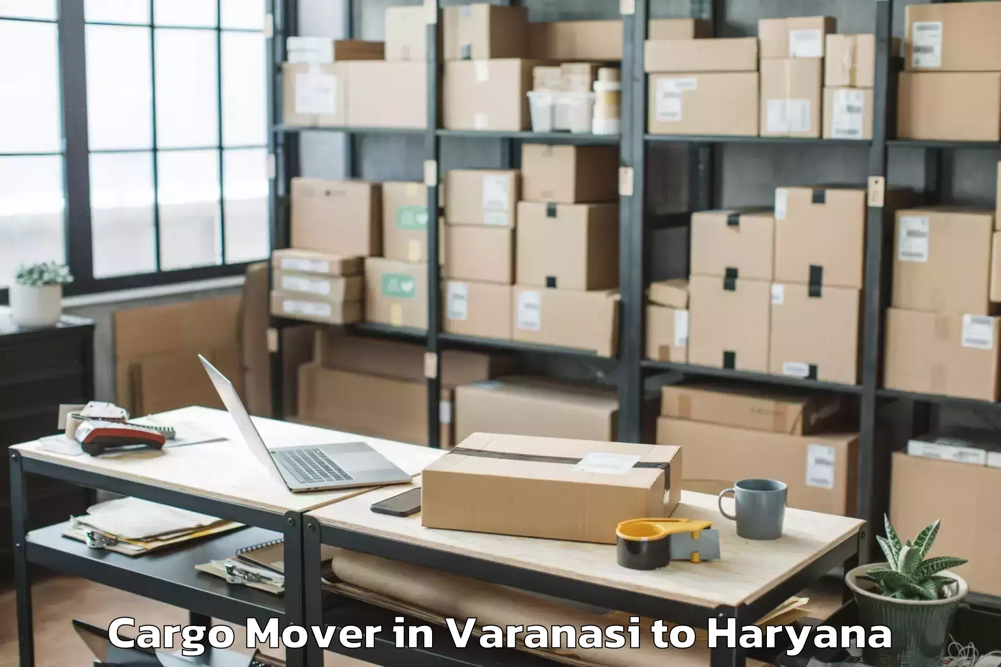 Book Varanasi to Tosham Rural Cargo Mover Online